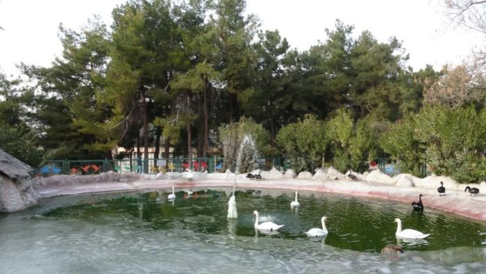  Gaziantep Doğal Yaşam Parkı'nda yarıyıl tatili yoğunluğu