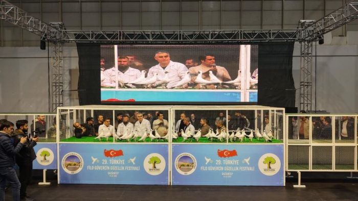 Gaziantep'te '29. Türkiye Filo Güvercin Güzellik Festivali' düzenlendi